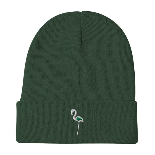 Green Embroidered Beanie